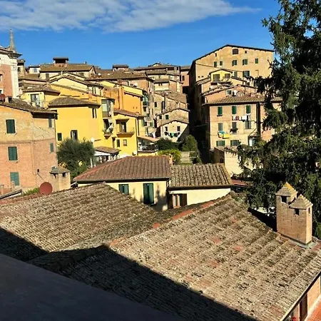 Lucherini 12 - Grande Centro